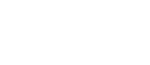 1st Insurance - Logo White